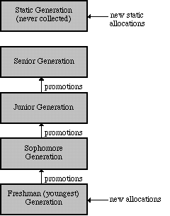 Organization of Generations