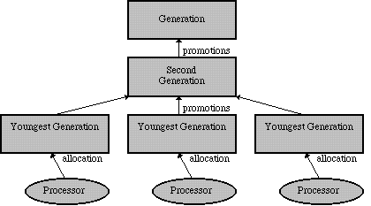 Multiprocessor Organization